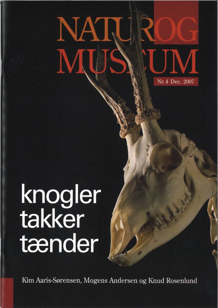 Knogler, takker, tænder